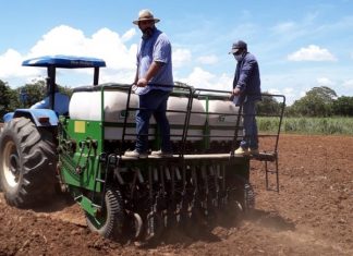 Seder inicia plantio de arroz na Fazendinha Calor Humano em Palmas