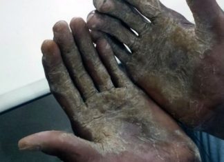 Operação contra o trabalho escravo resgata 12 pessoas no Tocantins