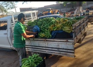 Produtores e entidades têm até 12 de fevereiro para realizar cadastro no Programa de Aquisição de Alimentos