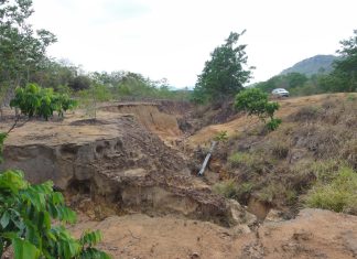 Governo do Tocantins promove a recuperação de áreas degradadas com risco à integridade das rodovias