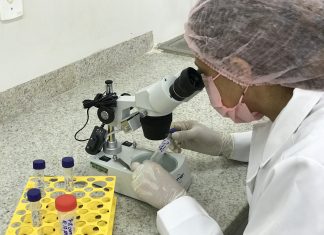 Cientistas tocantinenses falam sobre o papel da ciência no combate à pandemia