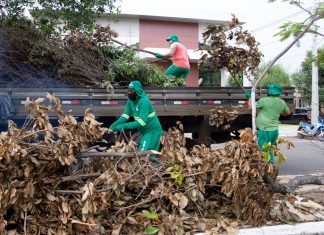 Mutirão de limpeza percorre bairros de Gurupi