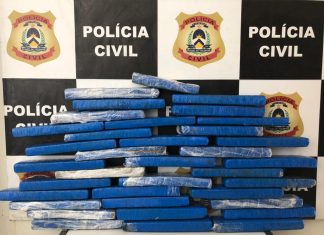 Operação Tisífone da Divisão de Narcóticos da Polícia Civil e do GAECO apreende 50 quilos de maconha em Gurupi e prende um homem