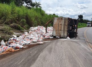 Bombeiros militares socorrem motorista após carreta tombar na TO-040