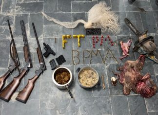 Quatro homens são presos e multados em R$ 11 mil após serem encontrados com armas e carne de animais silvestres