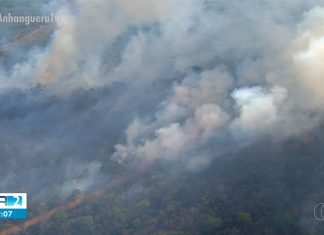 Tocantins termina junho com número de focos de queimadas acima da média para o mês
