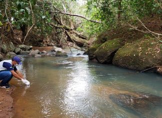 Projeto começa a monitorar qualidade da água em oito córregos na área urbana de Palmas