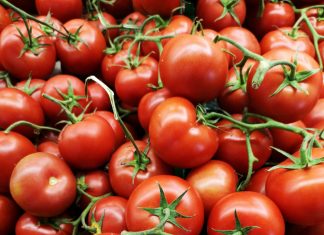 Preço do tomate tem variação de 100% e chega a quase R$ 7 nos supermercados de Palmas