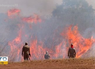 Tocantins ocupa 2º lugar no ranking nacional com 3.683 focos de queimada registrados desde janeiro