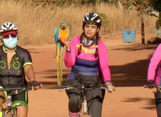 Arara ‘atleta’ pega carona com ciclistas durante pedal em Palmas