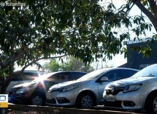 Mais de 180 carros clonados são apreendidos pela Polícia Civil nos seis primeiros meses deste ano