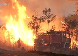 Incêndio em matagal às margens da BR-153 mobiliza Bombeiros e atrapalha motoristas em Gurupi