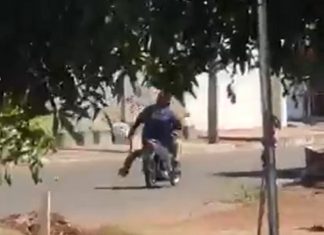 Motociclista é flagrado levando cachorro pendurado pela pata em rua de Gurupi; Veja o vídeo