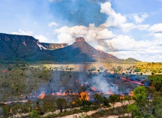 Autorizações para queimas controladas são suspensas durante o período de estiagem no Tocantins