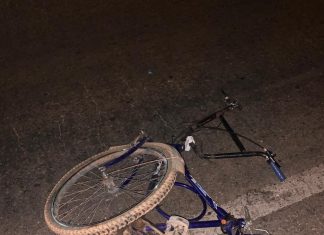 Ciclista de 52 anos morre após ser atropelado na TO-050; Motorista fugiu, mas foi preso pela PM