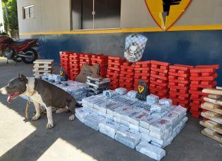 PM encontra 200 kg de maconha e fardos de medicamentos em ônibus apreendido