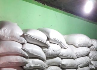 Polícia Civil recupera 3,4 toneladas de milho furtadas de propriedade rural no norte do Tocantins