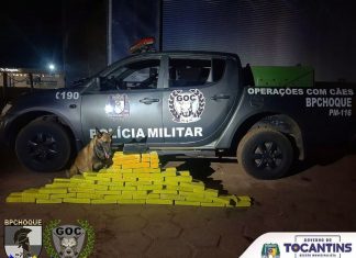 Cão farejador da Polícia Militar encontra grande quantidade de drogas em caminhão-baú