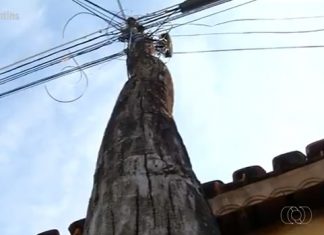 Mesmo com proibição, postes de energia elétrica feitos de madeira são usados em Araguaína: ‘Criando cupim’