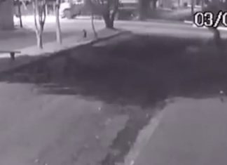 Vídeo mostra jovem de 18 anos sendo atingida por caminhão ao atravessar avenida de moto; Motorista fugiu