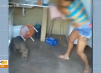Vídeo mostra mulher espancando dois cães com pedaços de madeira