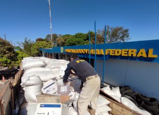 PRF flagra agrotóxicos escondidos por baixo de 12 toneladas de arroz em caminhão na BR-153