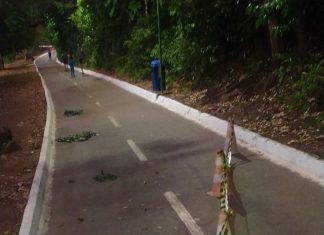 Pista de parque é interditada por 3h para cobra terminar de se alimentar em Palmas