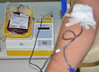 Hemocentros de Palmas precisam de doações de sangue O+ com urgência