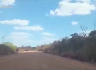 Rodovia asfaltada há dez anos tem sete quilômetros em que a pavimentação foi ‘esquecida’