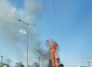 Incêndio destrói vegetação perto da praia do Prata em Palmas
