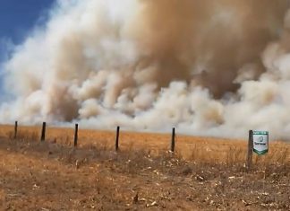 VÍDEO: Nuvem de fumaça gigante cobre rodovia durante incêndio de grandes proporções em fazenda