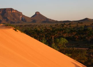 Lar de quilombolas, cenário de novela, deserto tocantinense: entenda o que é o Jalapão e a polêmica sobre a concessão do parque