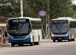 Ônibus do transporte público começam a circular com 70% da capacidade em Palmas
