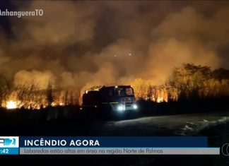 Queimada atinge área de mata na região norte de Palmas e mobiliza Bombeiros; VÍDEO