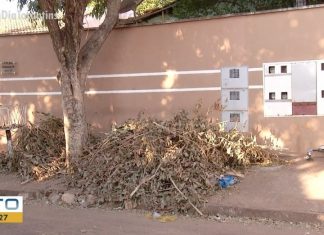 Mesmo com ecopontos em Palmas, moradores descartam galhadas na porta de casas