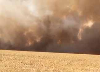 VÍDEO: Incêndio de grandes proporções atinge fazenda plantadora de soja no sul do Tocantins