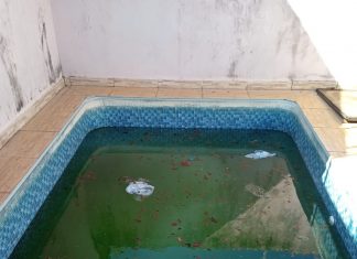 Fiscais encontram piscina suja e focos do Aedes aegypti em casas abandonadas na região sul de Palmas