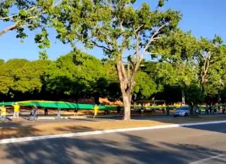 Apoiadores de Bolsonaro fazem ato em Palmas a favor do voto impresso
