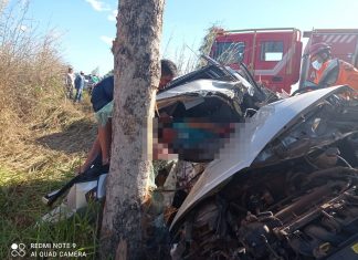 Jovem é resgatado com vida após carro bater em árvore e ficar completamente destruído