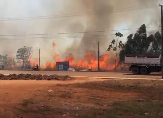 Bombeiros e brigadistas combatem incêndio em área de mata perto de condomínios em Palmas