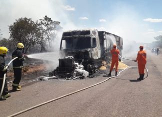 Carreta cheia de grãos pega fogo e fica completamente destruída às margens de rodovia