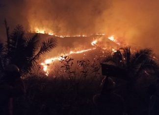 Força-tarefa controla incêndio na serra mais alta do Tocantins após uma semana de combate