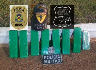 Dupla é presa por tráfico após jogar carregamento de drogas nas margens da BR-153 para tentar fugir da polícia