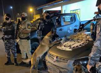 Mulher é presa por tráfico após cães da PM encontrarem maconha e crack em ônibus
