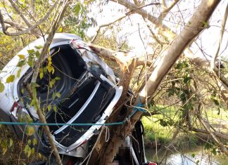 Mulher morre após carro cair em ribanceira na TO-164 e ficar preso em árvore