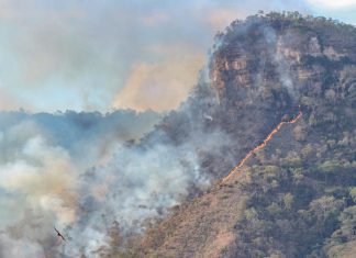 Queimada na serra do Lajeado é controlada após quatro dias, diz prefeitura