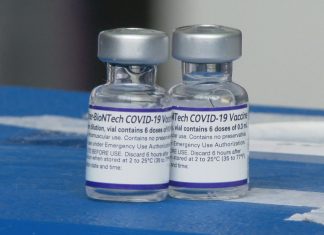 Nova remessa com 18,7 mil doses de vacinas contra Covid chega a Palmas nesta sexta-feira (3)