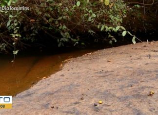 Seca reduz nível de rios e dificulta combate às queimadas na Serra do Lajeado em Palmas