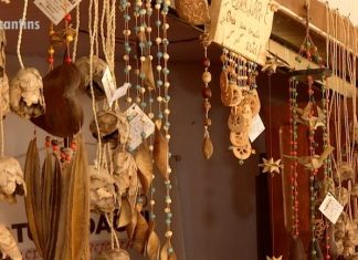 Artesãs mapeiam espécies do cerrado que podem ser utilizadas no artesanato: ‘Riqueza imensa’