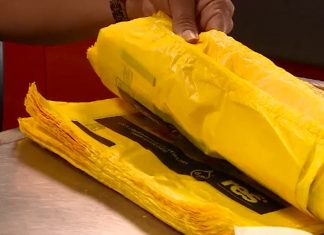 Carlesse sanciona lei que proíbe a venda e distribuição de sacolas plásticas no TO